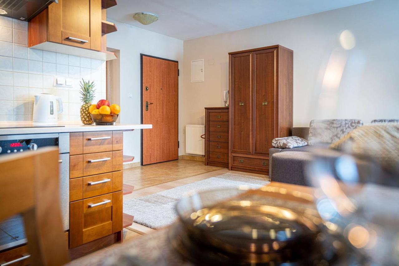 Apart-Styl Apartamenty Zakopane- Brzozowa, Centrum Miasta Exterior photo