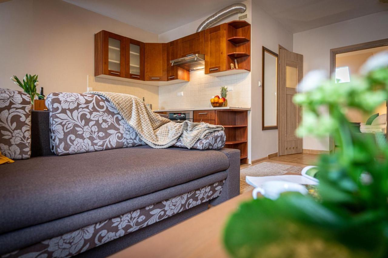 Apart-Styl Apartamenty Zakopane- Brzozowa, Centrum Miasta Exterior photo